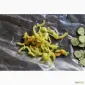 Машина для резки перца - фото № 1