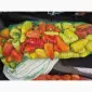 Продам перець білозерка - фото № 3