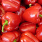 Підприємство закуповує перець Болгарський оптом - фото № 1