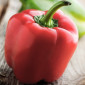 Куплю червоний солодкий перець - фото № 1
