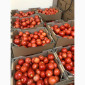 Помідори оптом від виробника - фото № 4