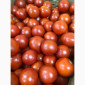 Помідори оптом від виробника - фото № 5