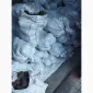 Продам буряк столовий - фото № 1