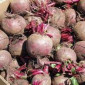 Продам буряк(свекла) оптом для бюджетних організацій - фото № 1