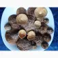 Продаж сушеного мухомора 1 сорту - фото № 2