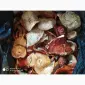 Мухомор красный (Amanita muscaria) высшего качества - фото № 2