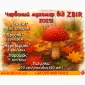 Продаж Мухомора ЧЕРВОНОГО - фото № 2