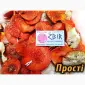 Продаж Мухомора ЧЕРВОНОГО - фото № 5