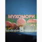 Мухомор пантерний капелюшки для продажи - фото № 2