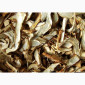Сушені білі гриби на продаж - фото № 1