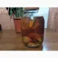 Продаж сушеного Червоного мухомора - фото № 2