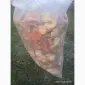 Сушені червоні мухомори, несортовані, оптом - фото № 2
