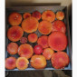 Сушені шляпки мухомора червоного (Amanita Muscaria) на продаж - фото № 1