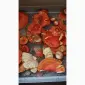 Сушені шляпки мухомора червоного (Amanita Muscaria) на продаж - фото № 7