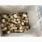 Продажа белых замороженных грибов первого сорта - фото № 3