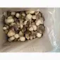 Продажа белых замороженных грибов первого сорта - фото № 4
