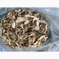 Сушені білі гриби карпатські 2022р - фото № 2