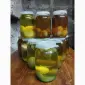 Гриб Веселка панна 1л на продаж - фото № 1