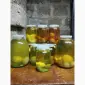 Гриб Веселка панна 1л на продаж - фото № 3