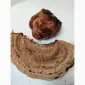 Трутовик плоский для лікування та декору - фото № 2