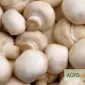 Продаю гриби шампіньйони оптом - фото № 1