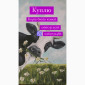 Купую корів, телят, биків, баранів та коней дорого - фото № 1