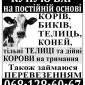 Закупка и продажа крупного рогатого скота - фото № 1