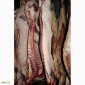 М'ясо Свіже Полотуші - фото № 5