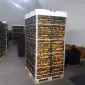 Цитрусовые и овощи из Турции от поставщика - фото № 3