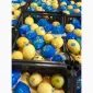 Продаются мандарины и лимоны от поставщика с 5 тонн - фото № 2