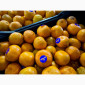 Продам грузинские мандарины и лимоны, Опт, Крупный и мелкий - фото № 2