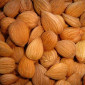 Продаём абрикосовые сладкие и горькие косточки - фото № 1