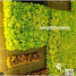 Екологічні картини та панно з моху та стабілізованих рослин - фото № 1