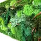 Картины и панно из мха и стабилизированных растений - фото № 2