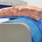 Горизонтальний слайсер для м'яса і риби STvega Meat Hor Slicer H32A - фото № 9