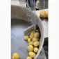 Машина для ножового очищення картоплі STvega KPel Potato H500 - фото № 8