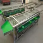 Сортировочно-калибровочная машина для овощей и фруктов STvega Sorting H2000 - фото № 5