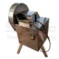 Слайсер для нарізки чіпсів із фруктів STvega Belt Cutter H20 - фото № 1
