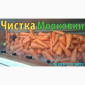 Мийка барабанна для картоплі, моркви та іншої городини, можлива комплектація абразивом - фото № 4
