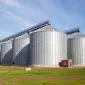 Есть покупатели пшеницы и кукурузы с эливаторов и хозяйств с всей Украины 1 000 тонн - фото № 2