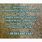 Купуємо половинки сої та биту кукурудзу - фото № 1
