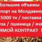 ЗАКУПКА на Молдову от 5000 т = Пшеница = Ячмень = Кукуруза - фото № 1