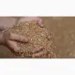 Постоянно закупаем зерновые отходы, некондицию - фото № 1