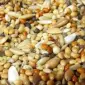 Купуємо зерновідходи, некондицію побічний продукт - фото № 1