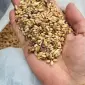 Закупаем с самовывозом зерновые отходы, некондицию - фото № 1