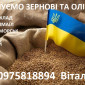 Закуповуємо зернові та олійні культури - фото № 1