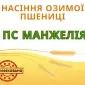 Озимая пшеница с высоким урожаем - фото № 1