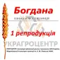 Насіння озимої пшениці БОГДАНА 1 репродукція 2025 года - фото № 1