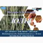 Насіння озимої пшениці Юлія – продаж - фото № 1