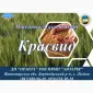 Насіння озимой пшеницы Краєвид (БН) в продаже - фото № 1
